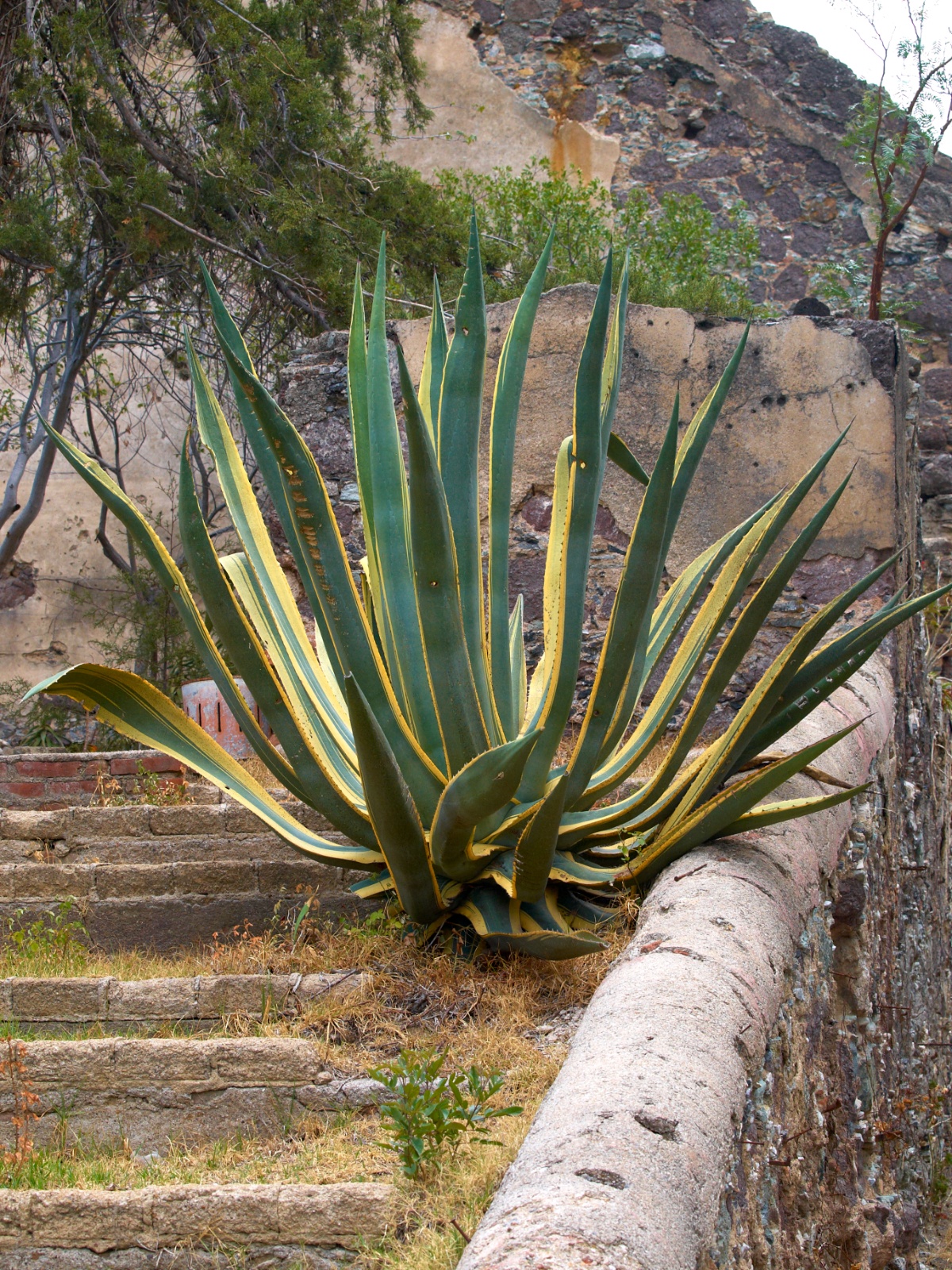 Mexico 2012 20120528 0190