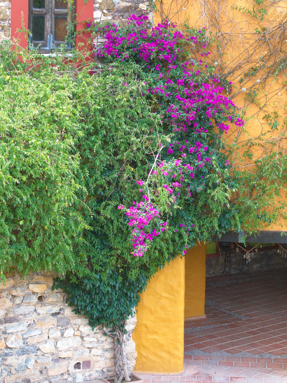 Mexico 2012 20120528 0204