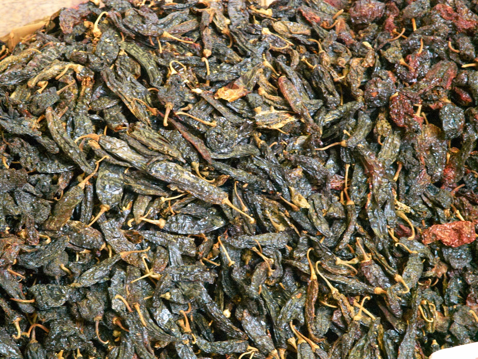 Mexico 2012 20120529 0253