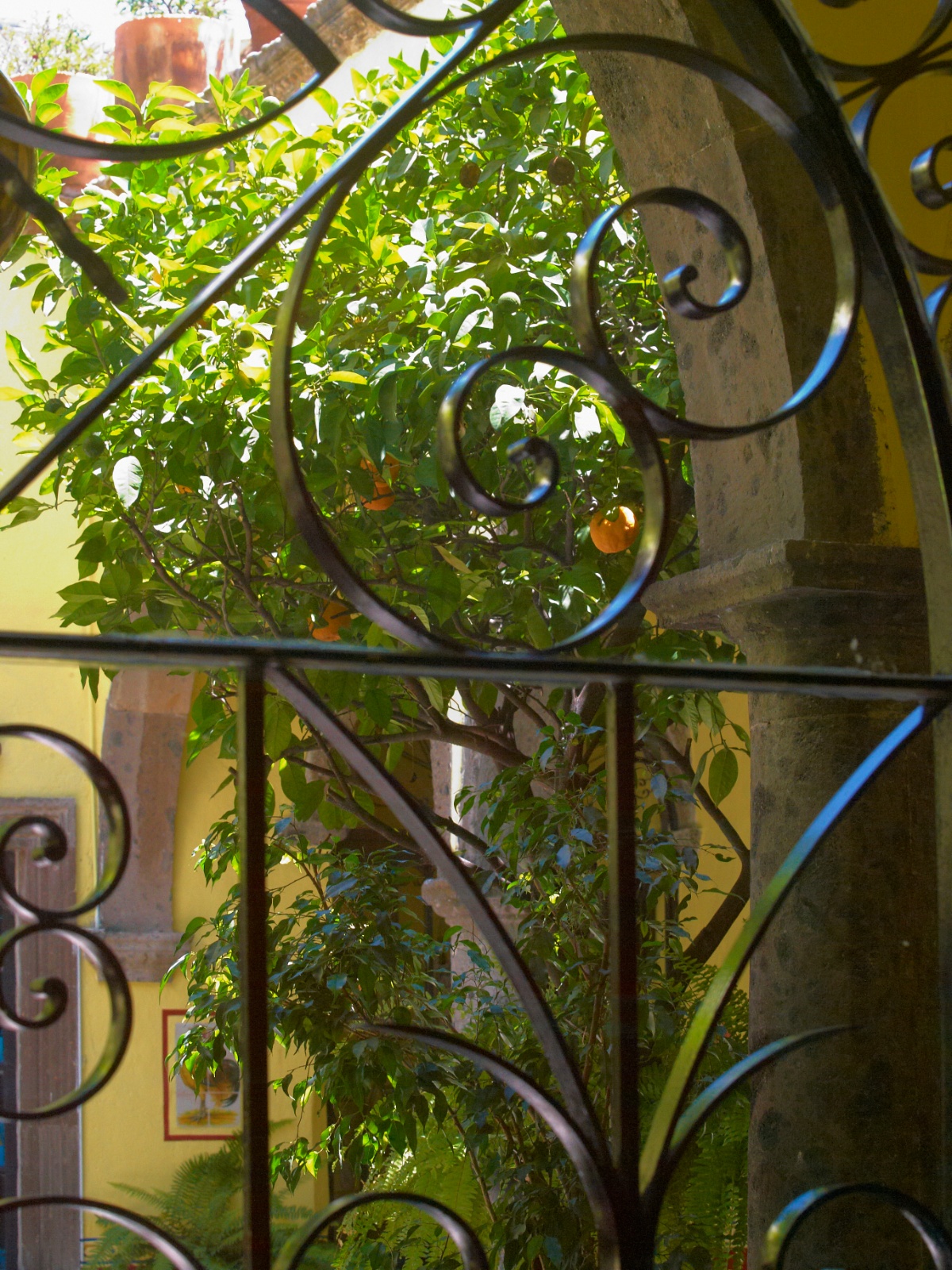 Mexico 2012 20120530 0294