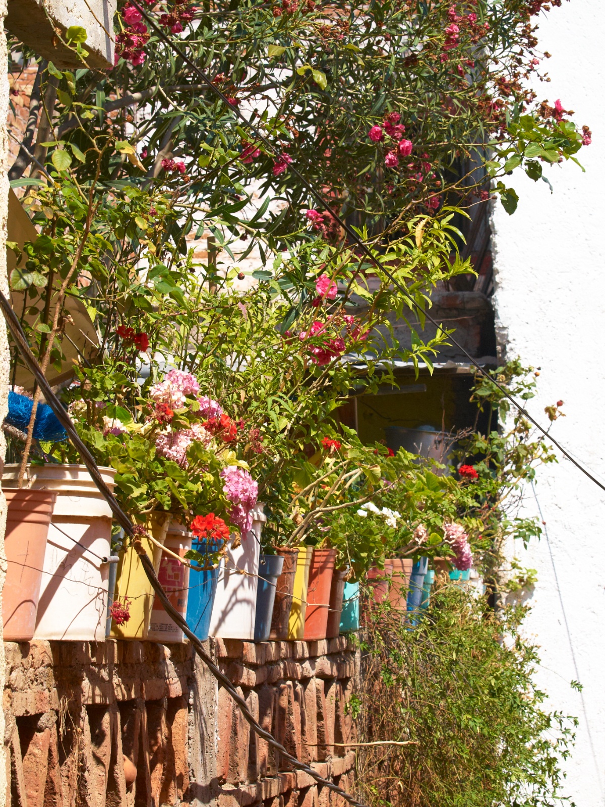 Mexico 2012 20120601 0028 01