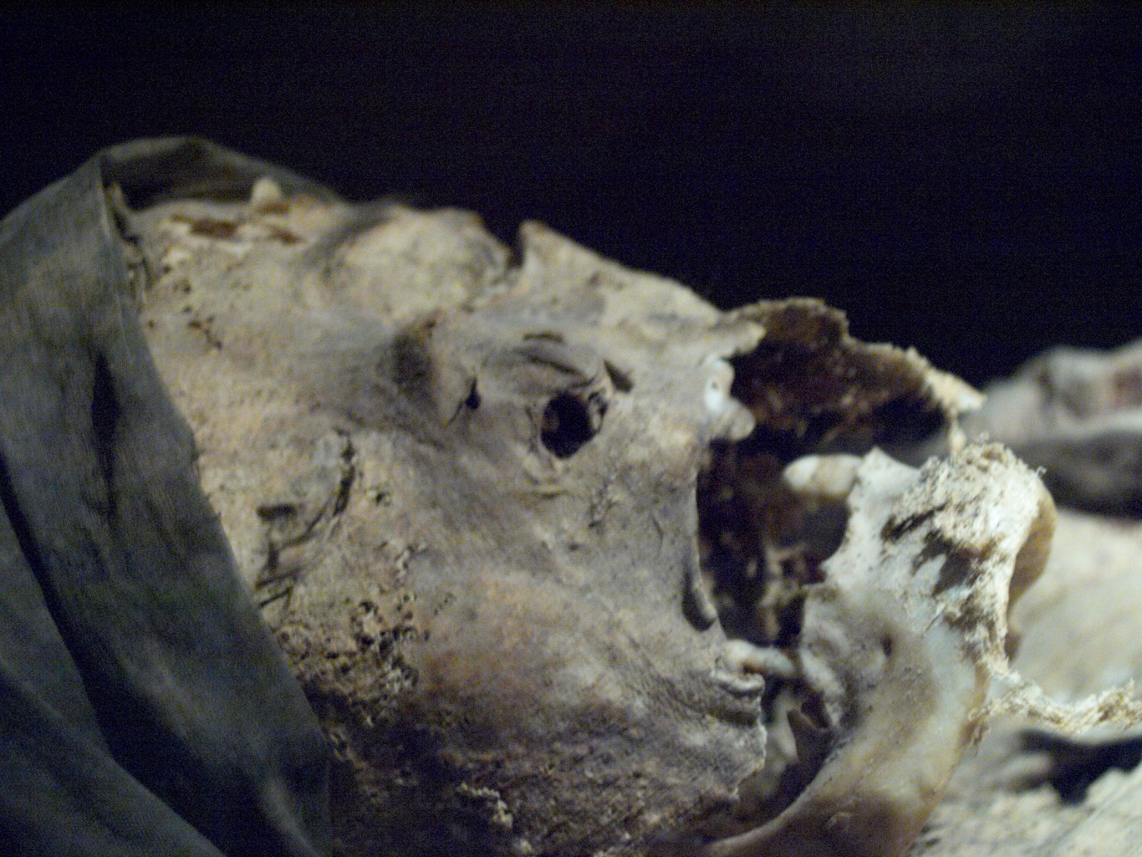 Mexico 2012 20120601 0067