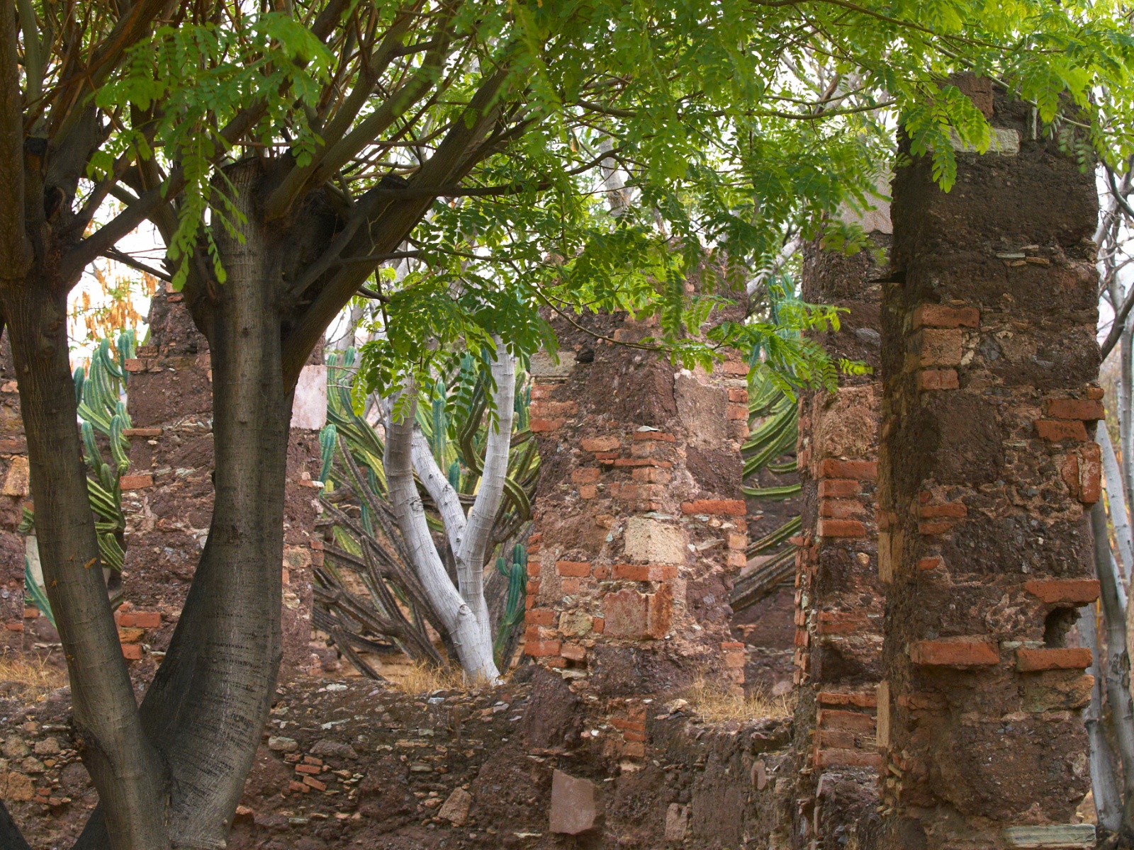 Mexico 2012 20120603 0176