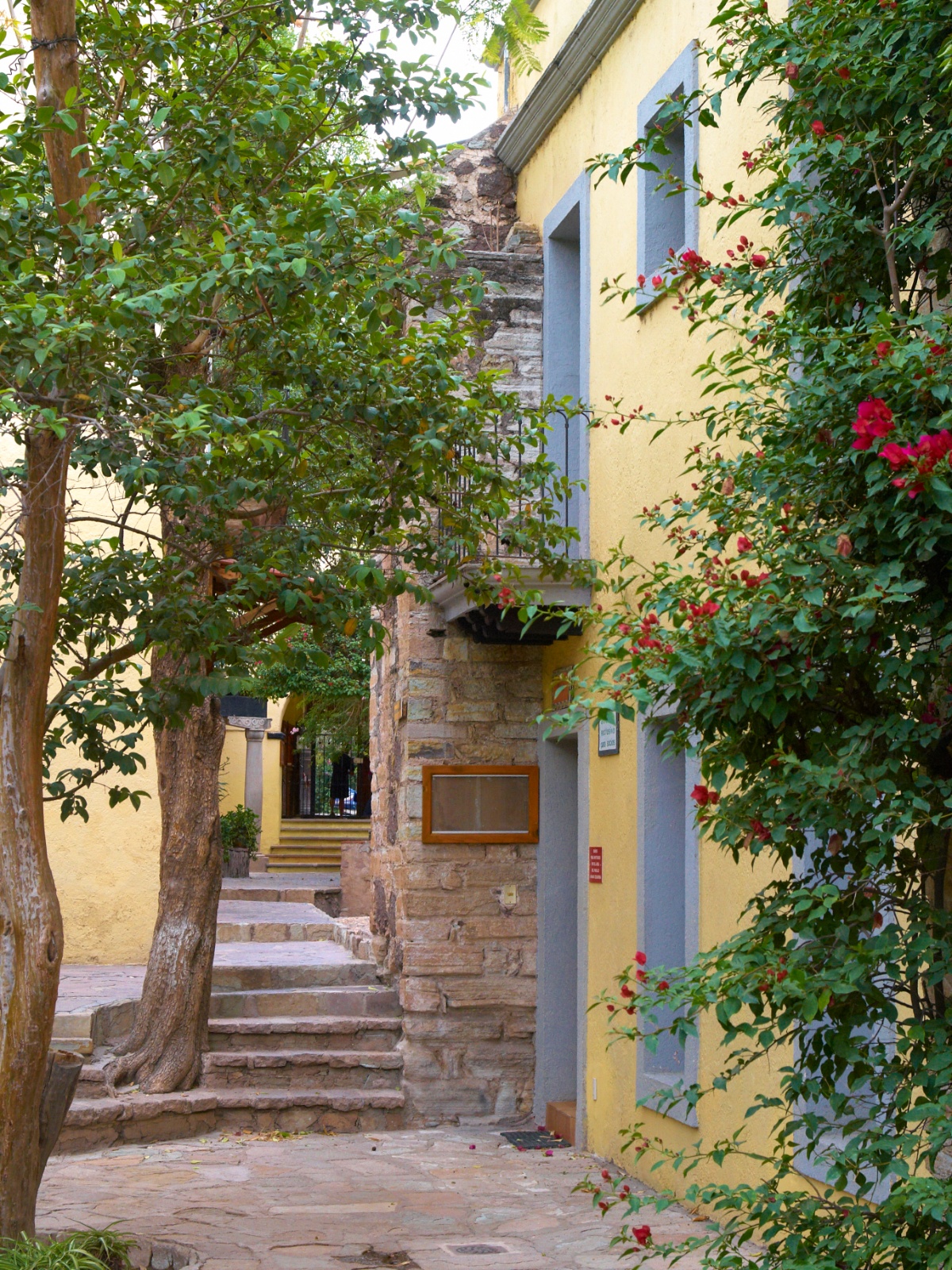 Mexico 2012 20120604 0188