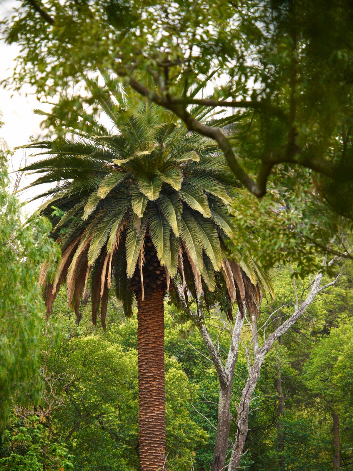 Mexico 2012 20120606 0041