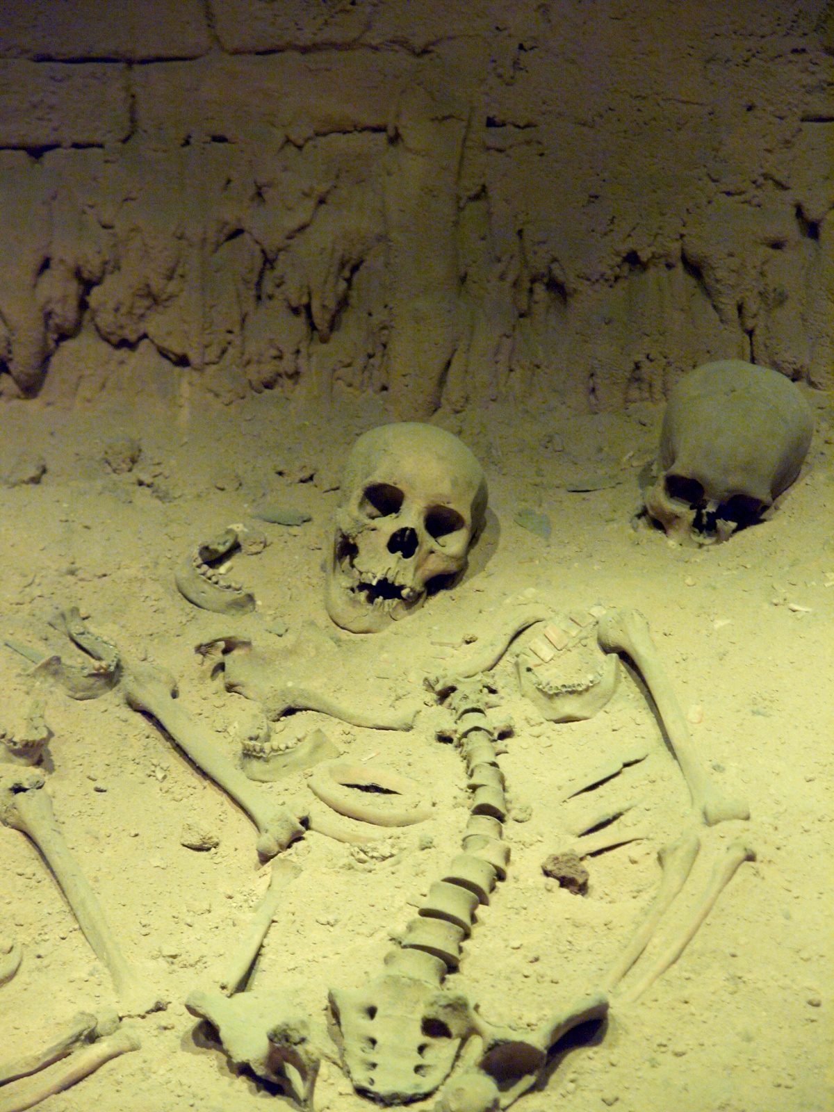 Mexico 2012 20120606 0293