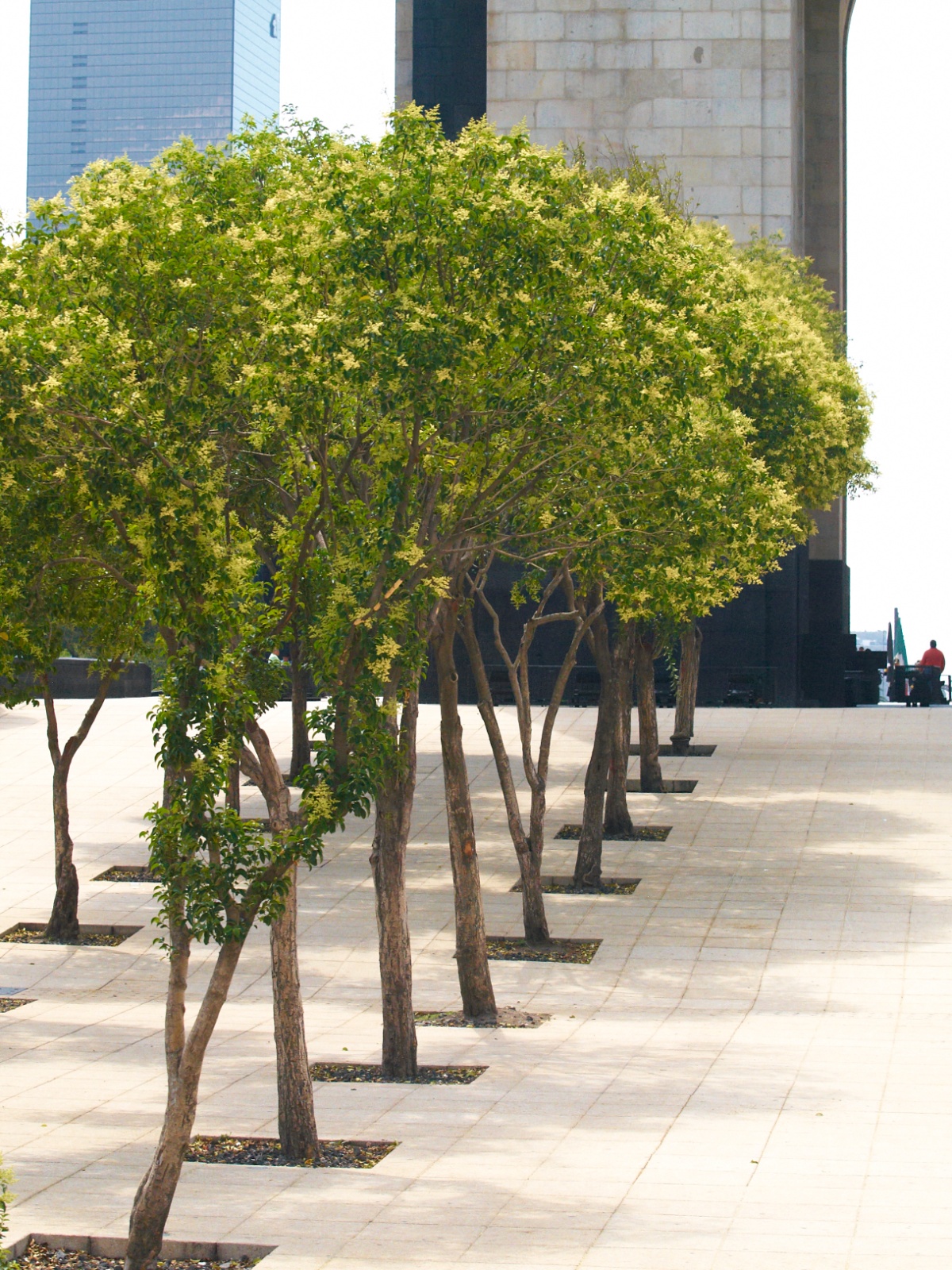 Mexico 2012 20120606 0363