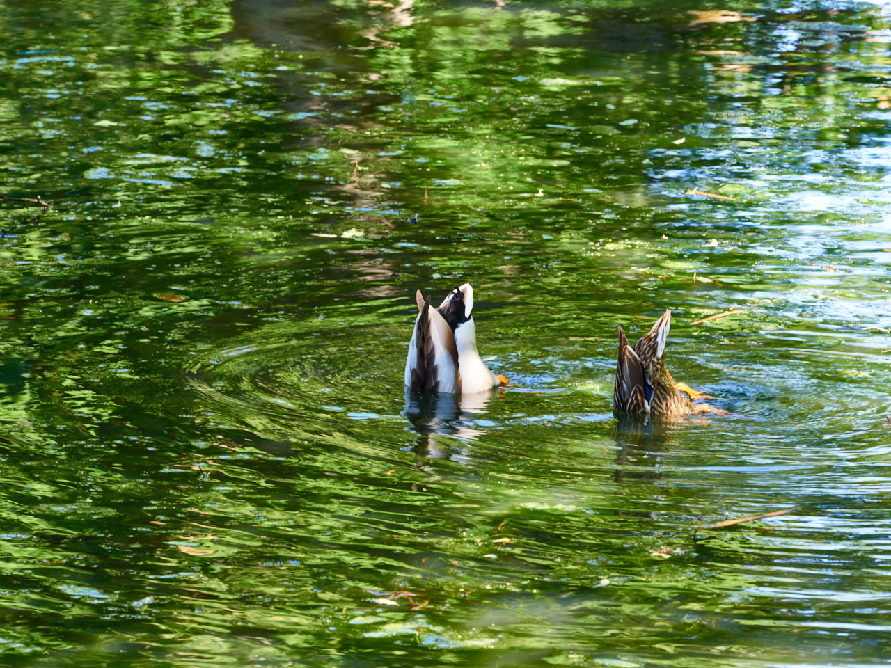 160 Stockholm 15 06 19 162