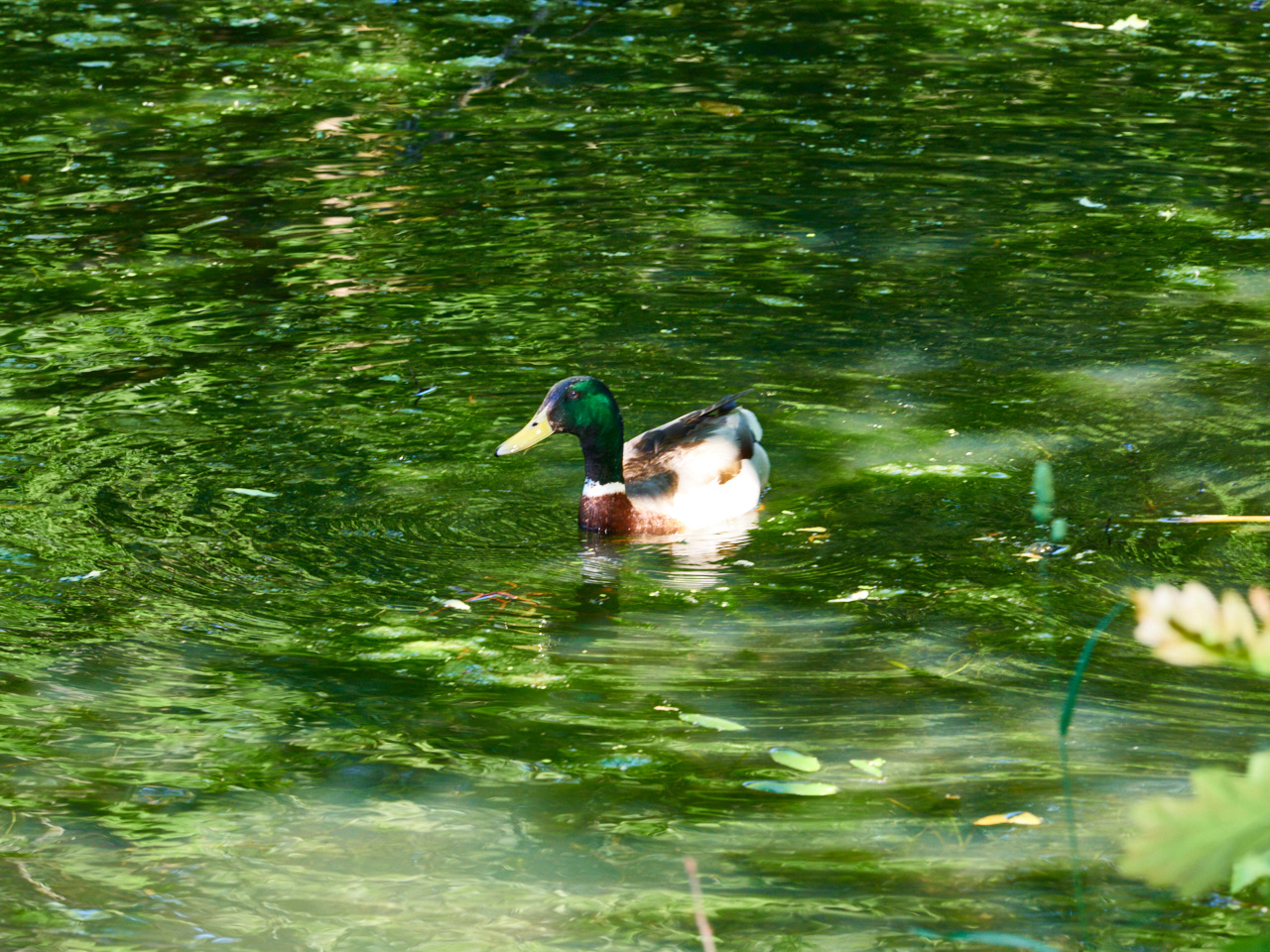 161 Stockholm 15 06 19 166