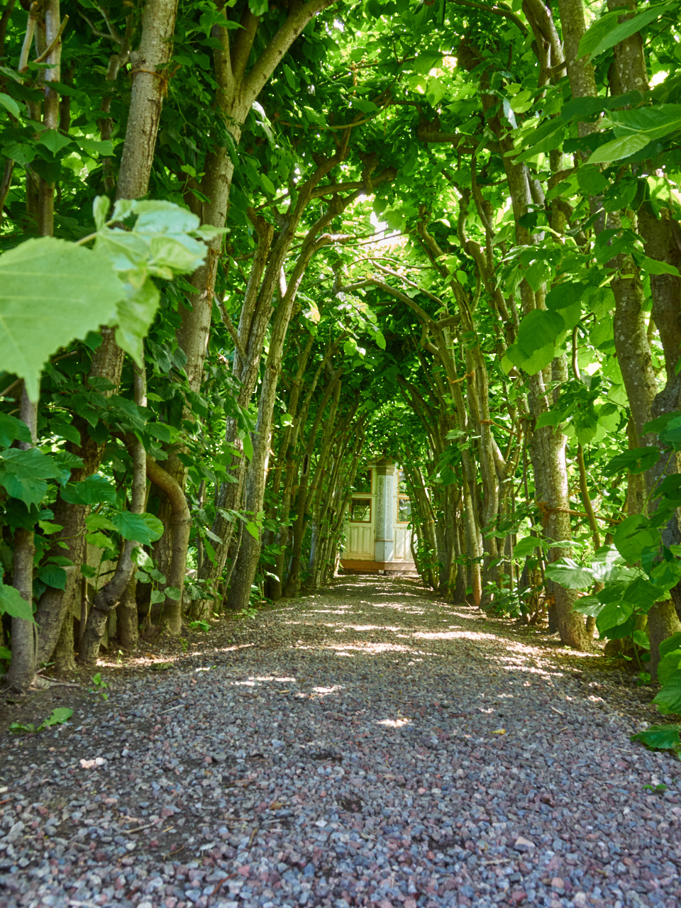 178 Stockholm 16 06 19 6