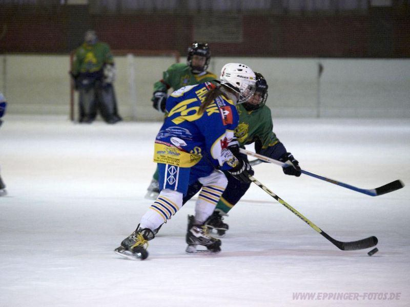 Normal Pforzheim1 135