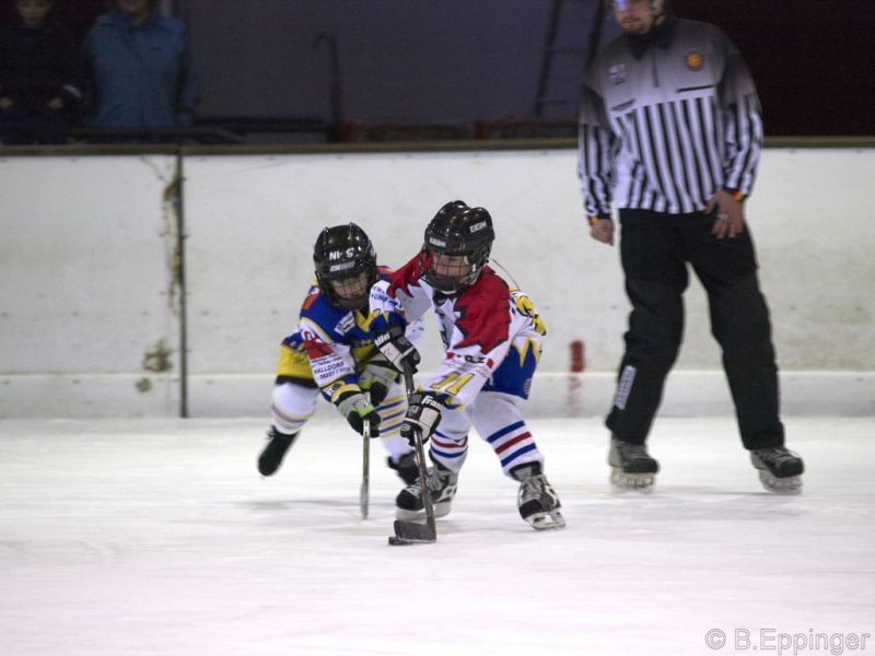 Normal BNL 2008 11 22 08 19 35