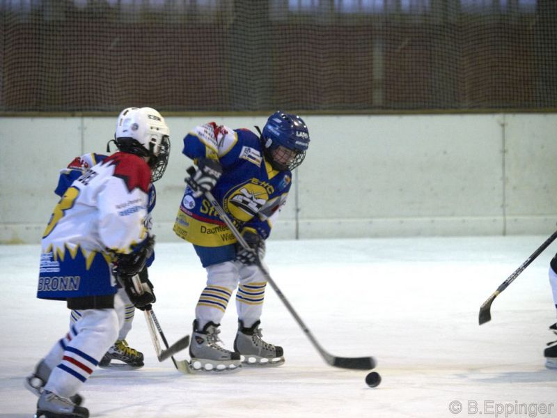 Normal BNL 2008 11 22 08 24 41