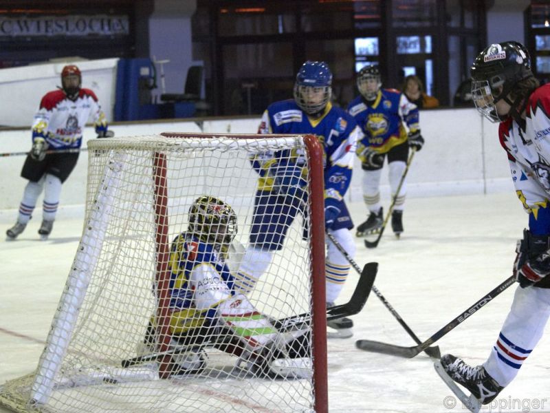 Normal BNL 2008 11 22 08 30 45