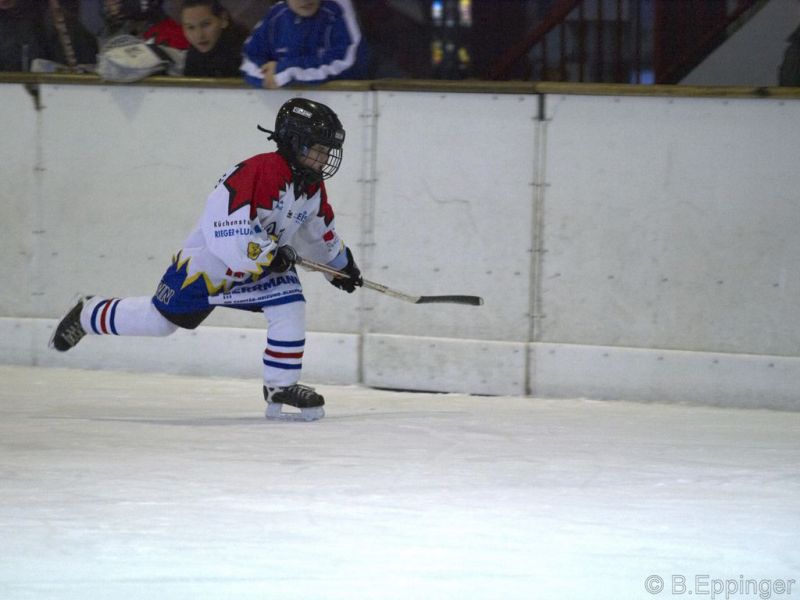 Normal BNL 2008 11 22 08 35 48