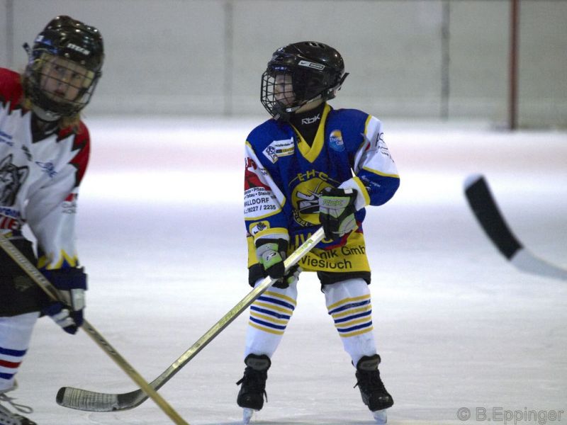 Normal BNL 2008 11 22 08 36 07