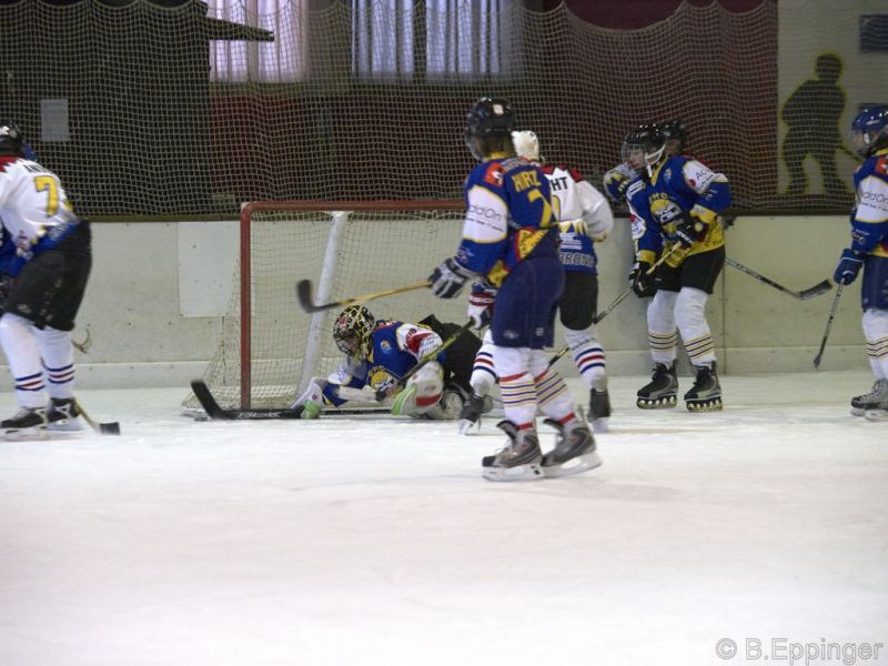 Normal BNL 2008 11 22 08 40 20