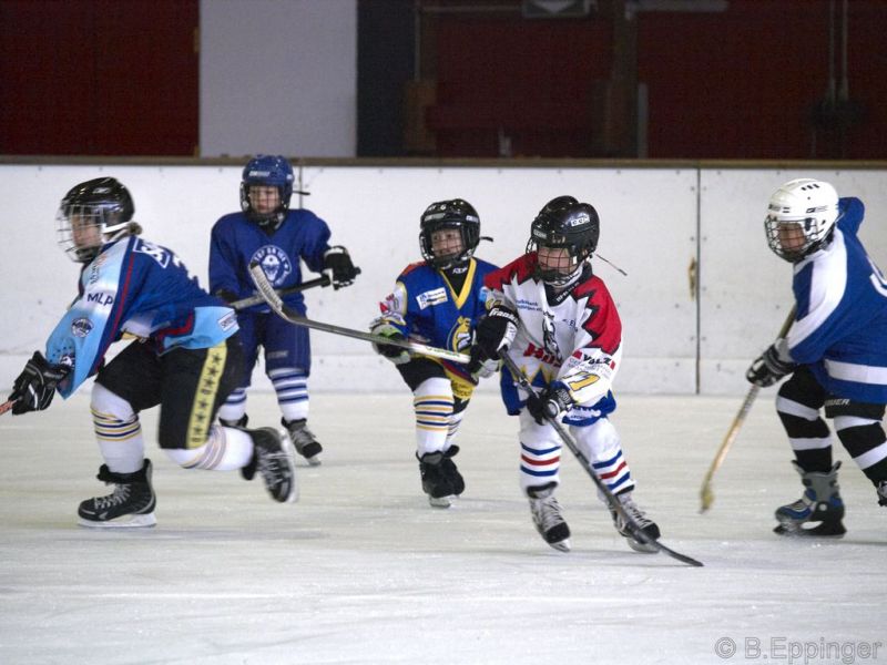 Normal BNL 2008 11 22 09 07 40