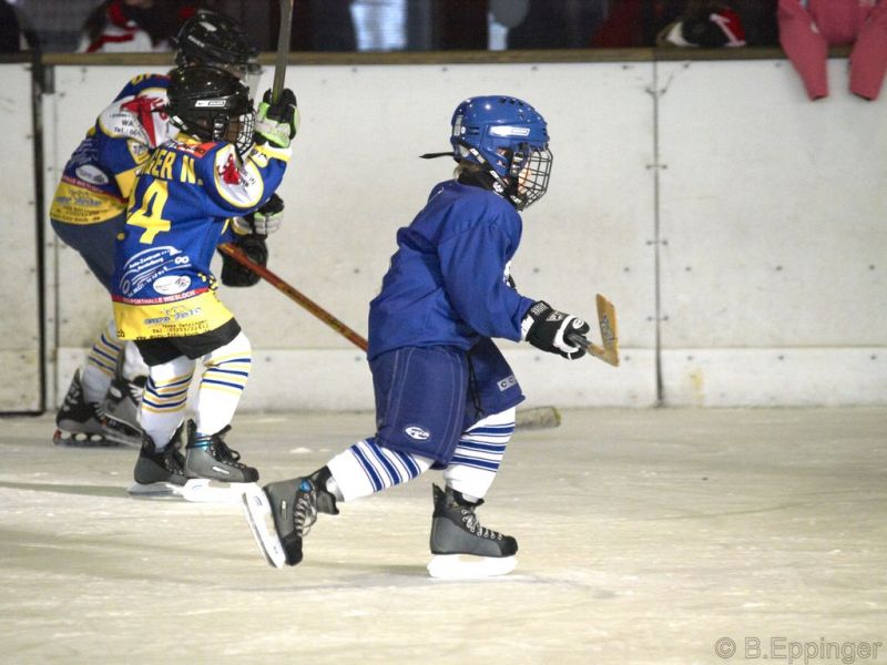 Normal BNL 2008 11 22 09 08 40