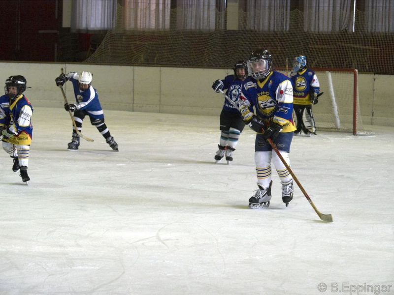 Normal BNL 2008 11 22 09 18 33