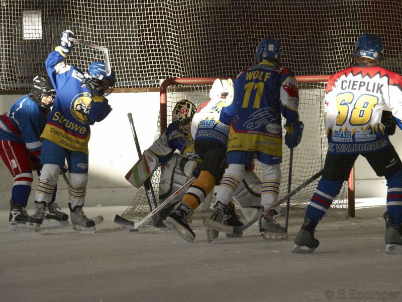 Normal BNL 2008 11 22 09 53 06