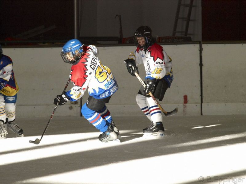 Normal BNL 2008 11 22 10 00 58