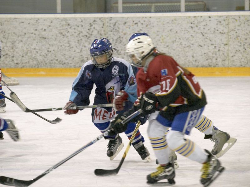 Normal Inhouseliga 229