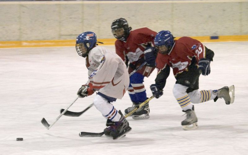 Normal Inhouseliga 305