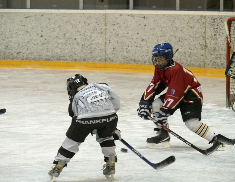 Normal Inhouseliga 242