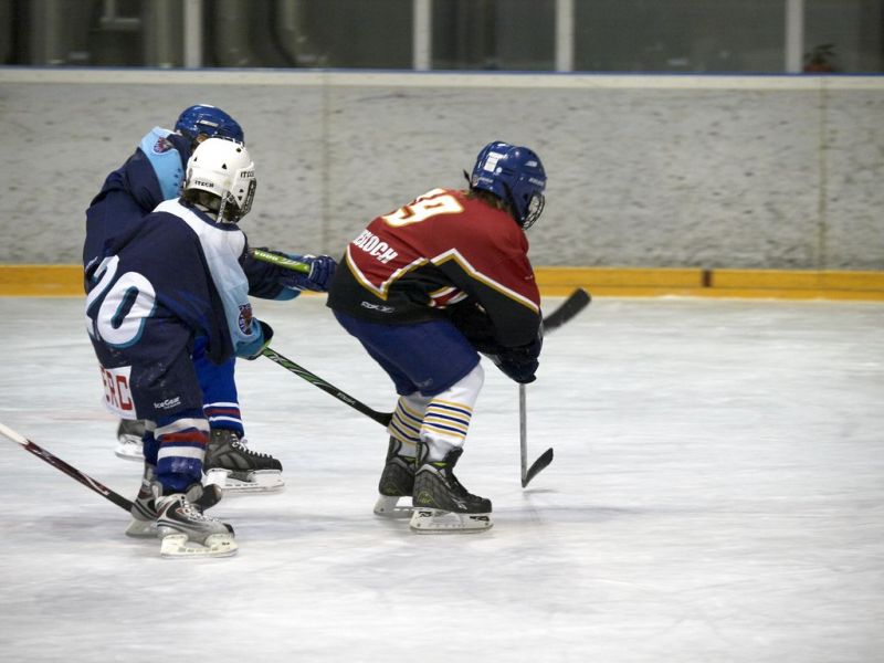 Normal Inhouseliga 259