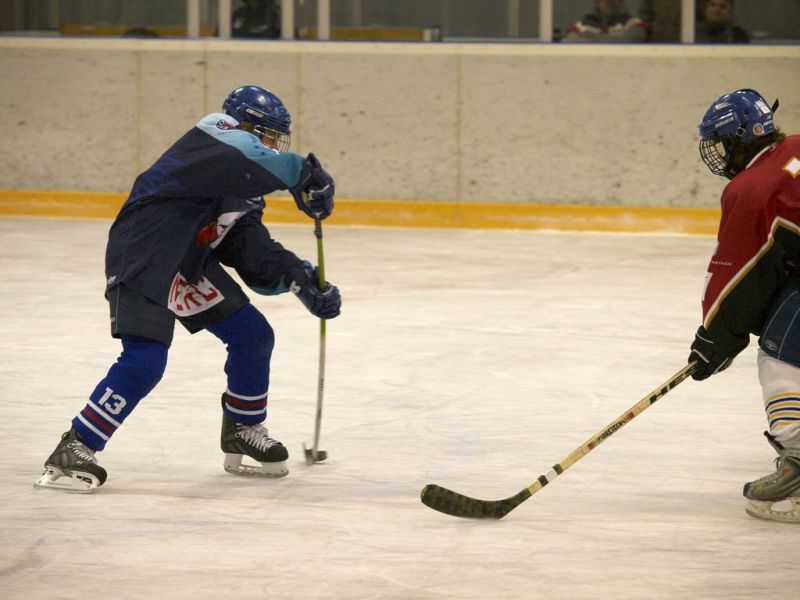 Normal Inhouseliga 339