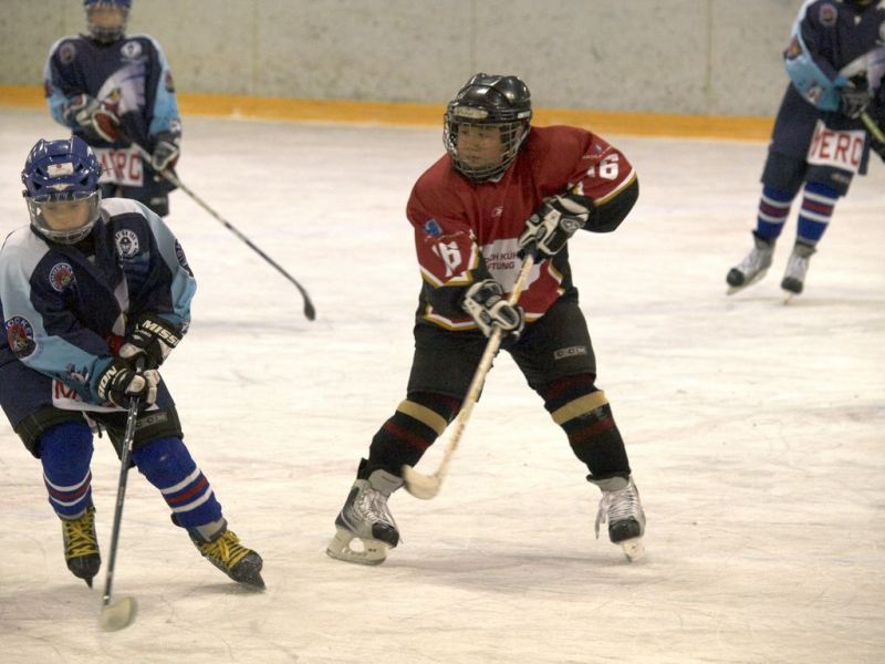 Normal Inhouseliga 395