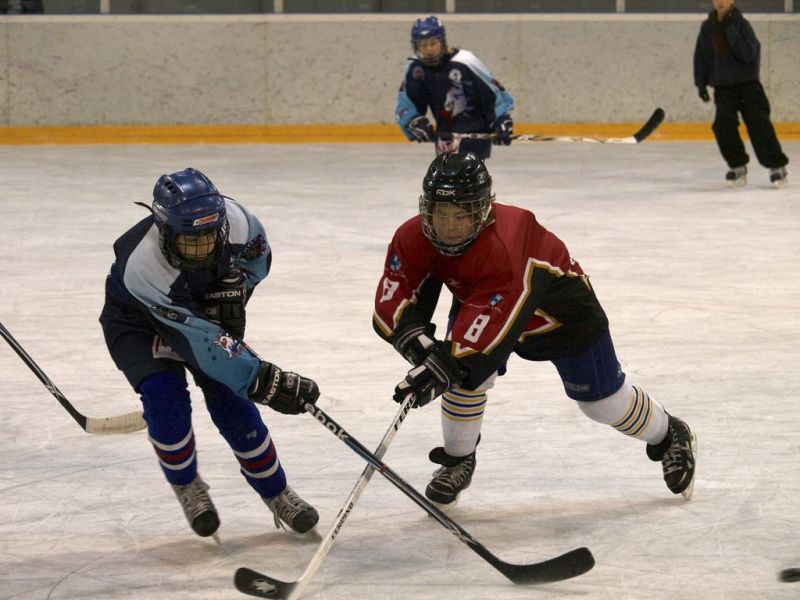 Normal Inhouseliga 408