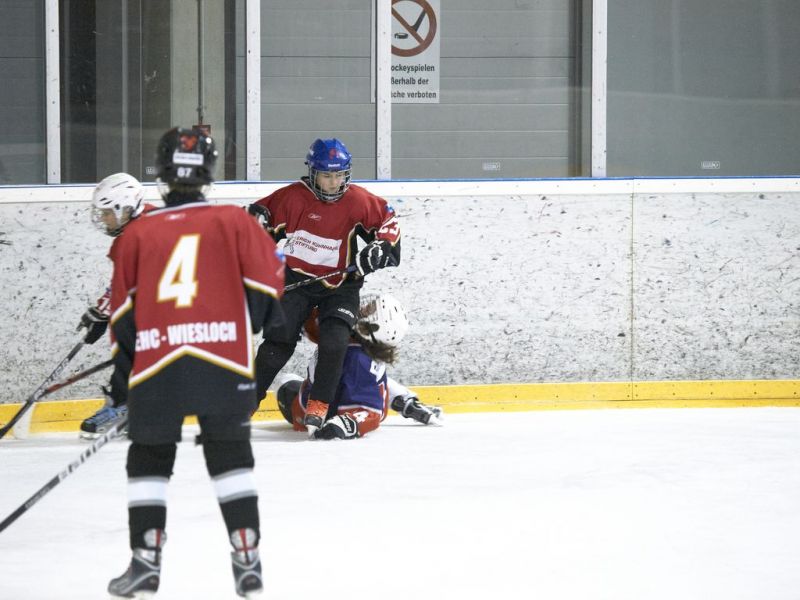 Normal Inhouse 26 02 12 120