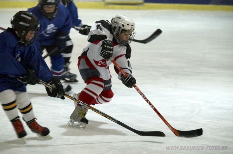 Normal H�gelsheim1 061