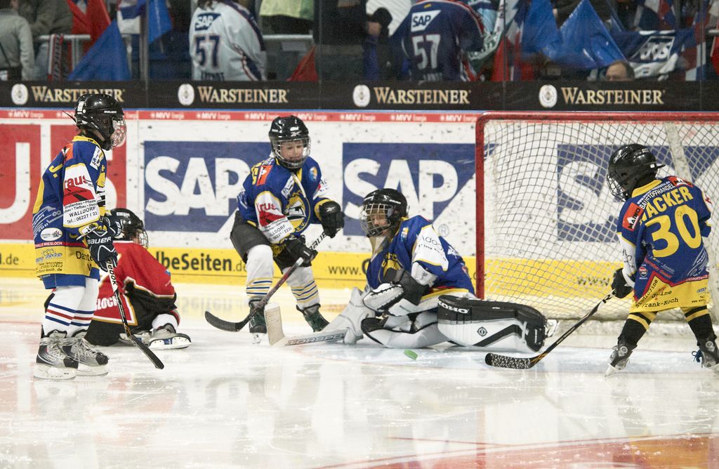 Adler 27 02 2011 112