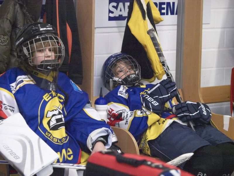 Normal Adler 27 02 2011 087