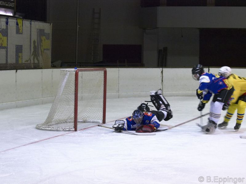 Normal DPL 10 11 08 009