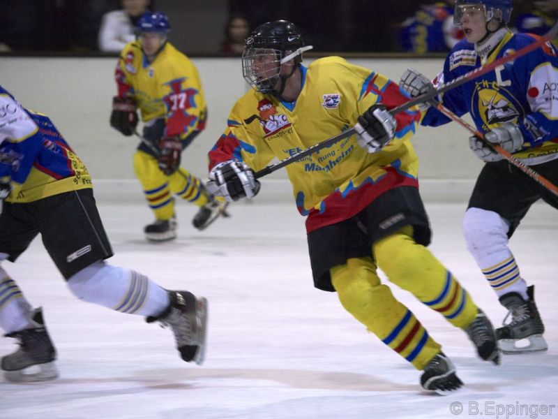 Normal DPL 10 11 08 012