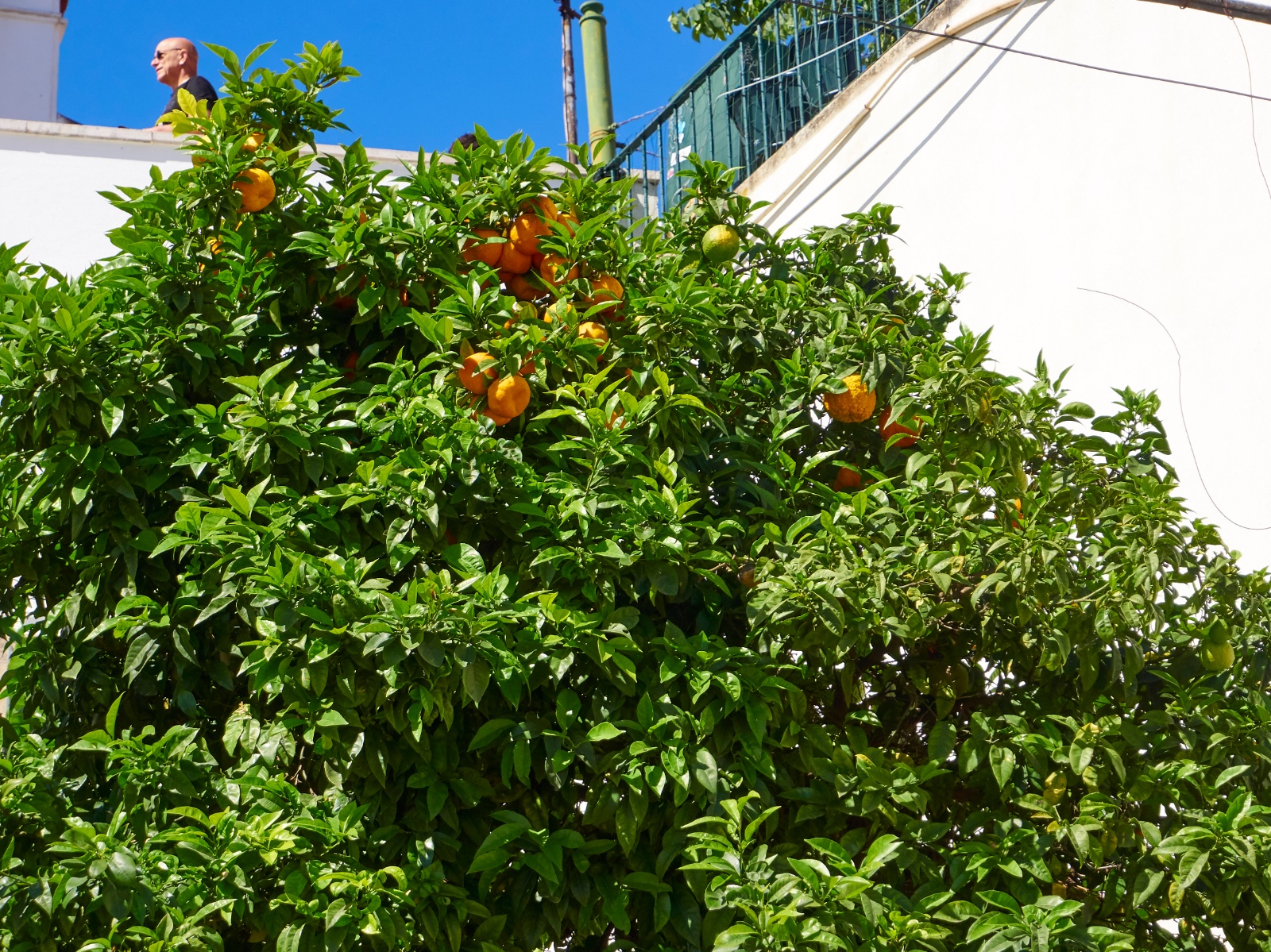 Lissabonn 11 05 19K2111295