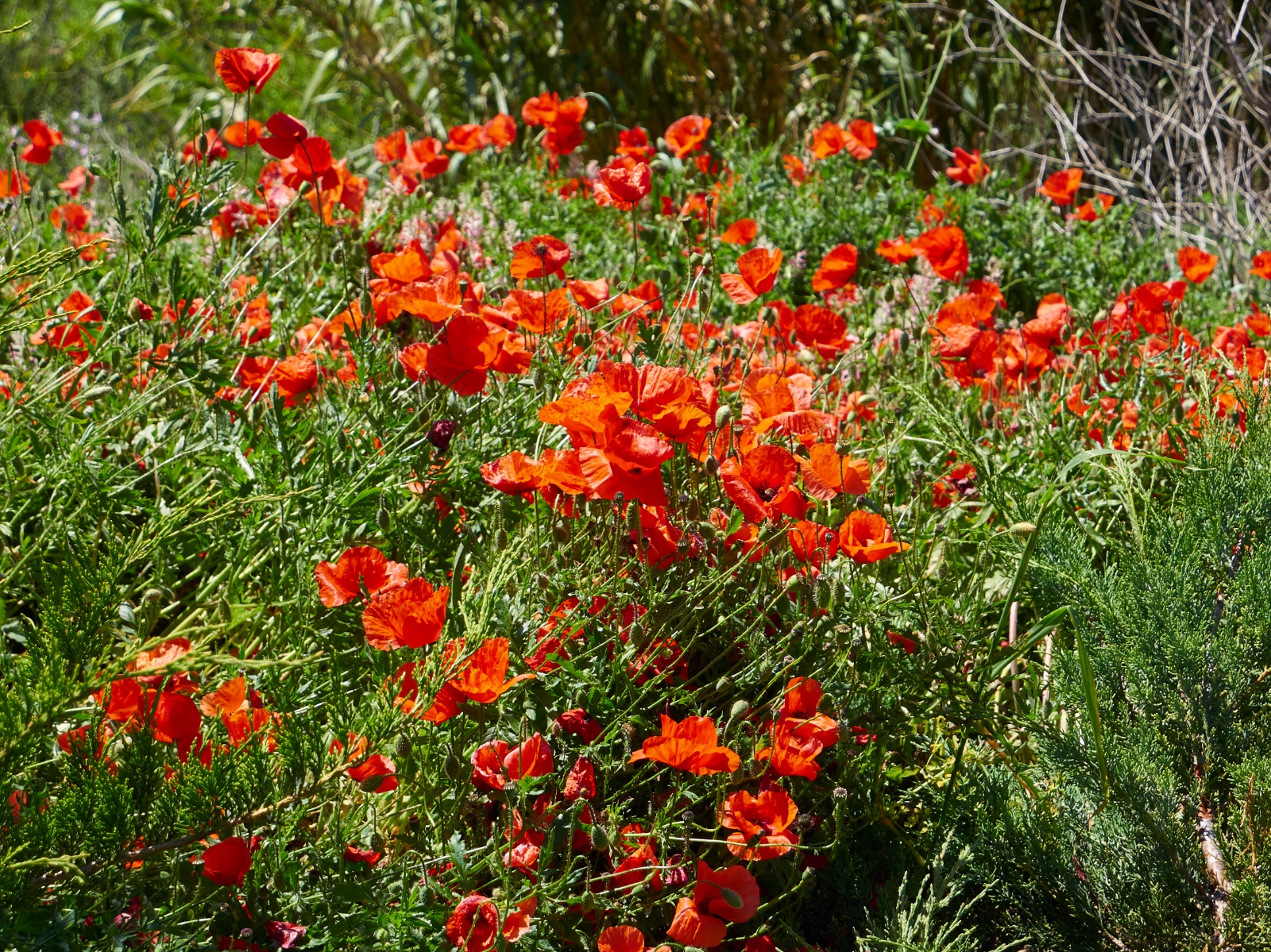 Lissabonn 11 05 19K2111327