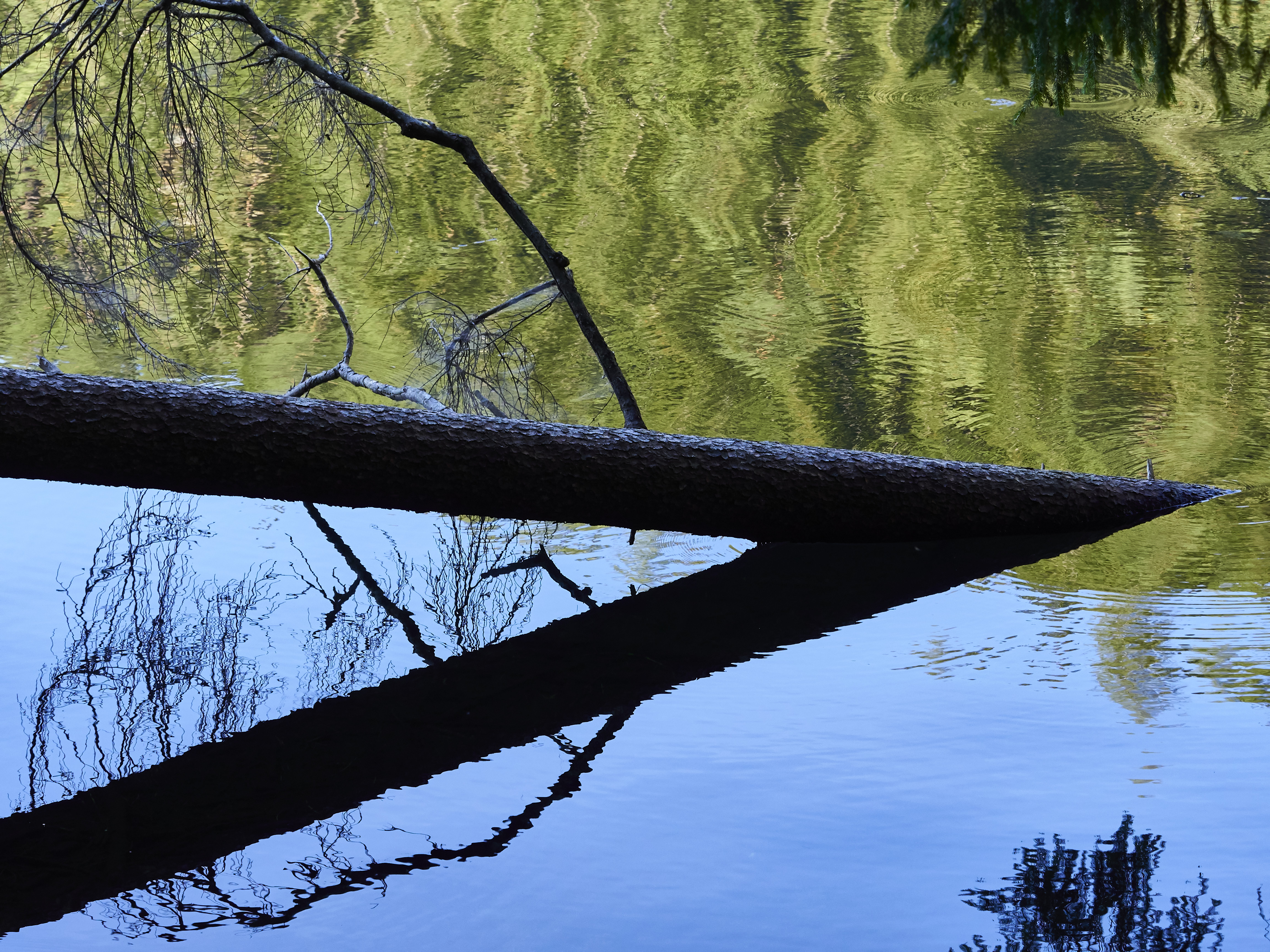 Ledrosee 13 09 19 10