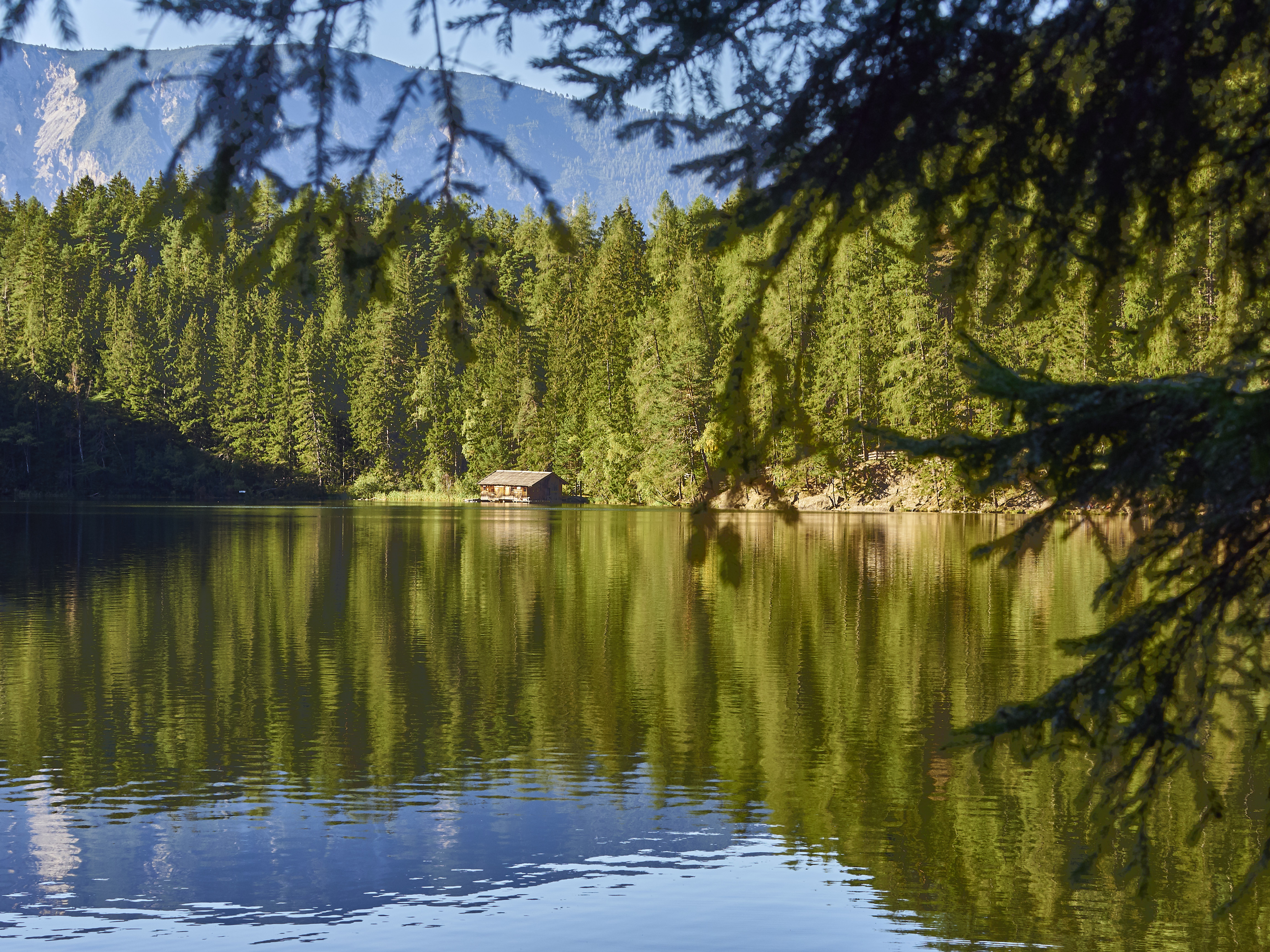 Ledrosee 13 09 19 11