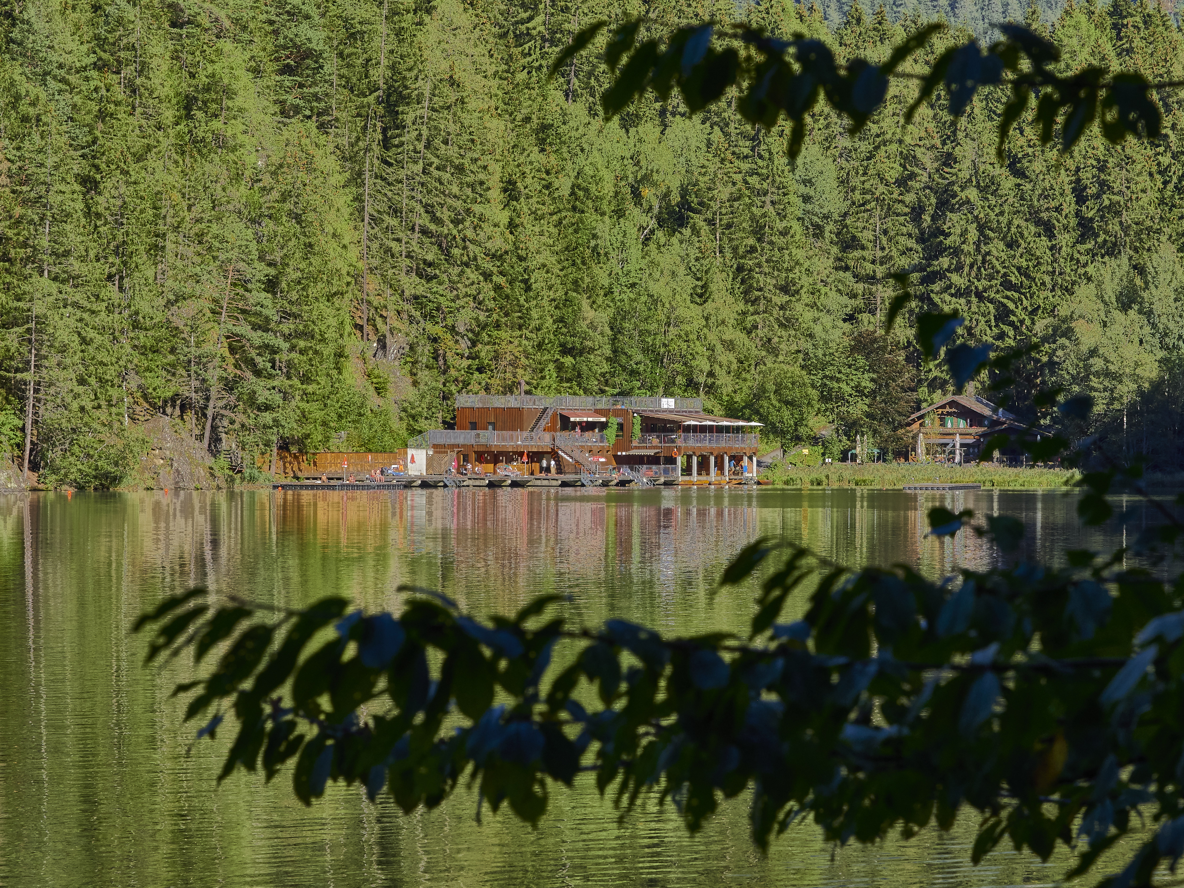 Ledrosee 13 09 19 18