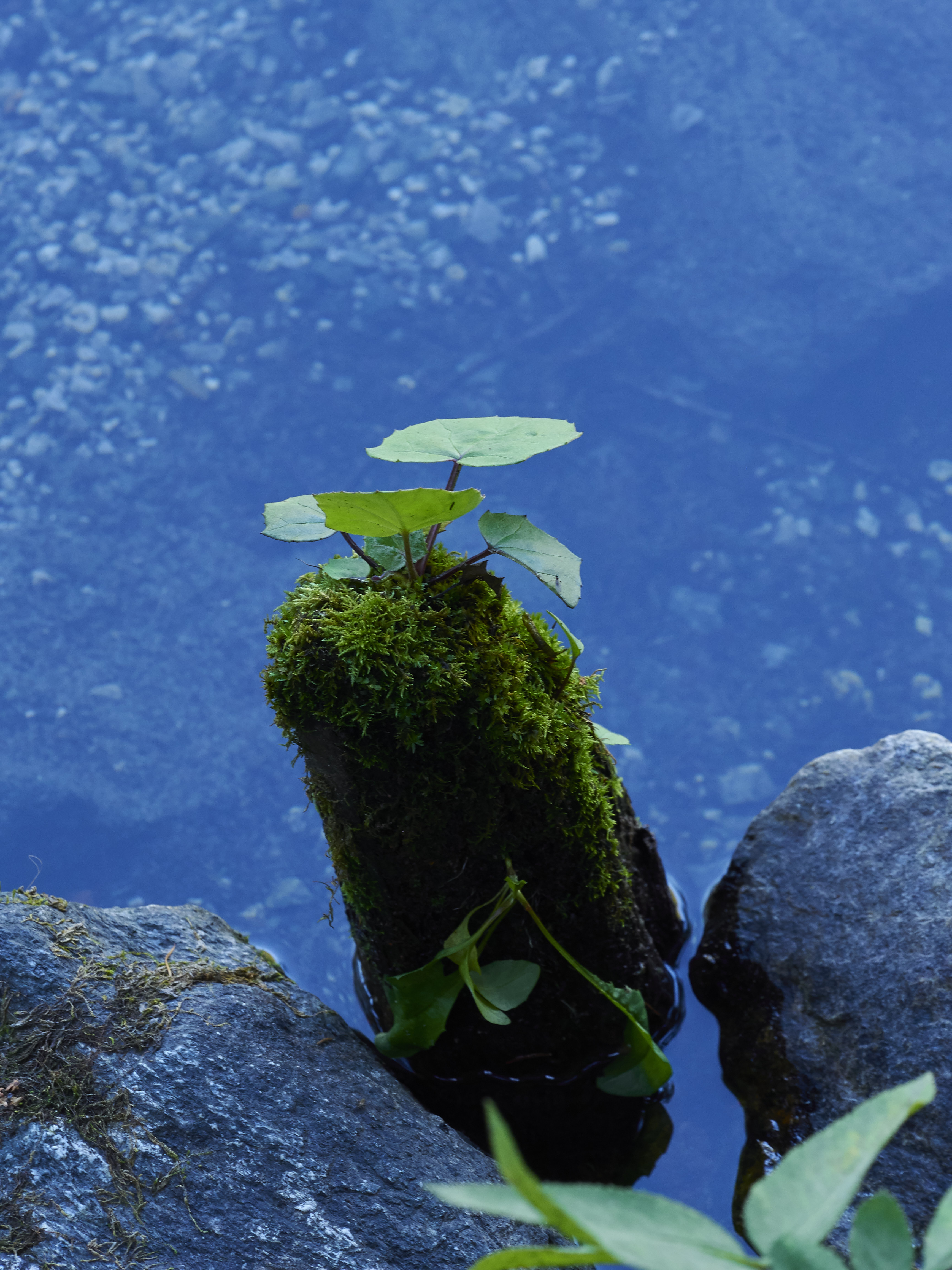 Ledrosee 13 09 19 19