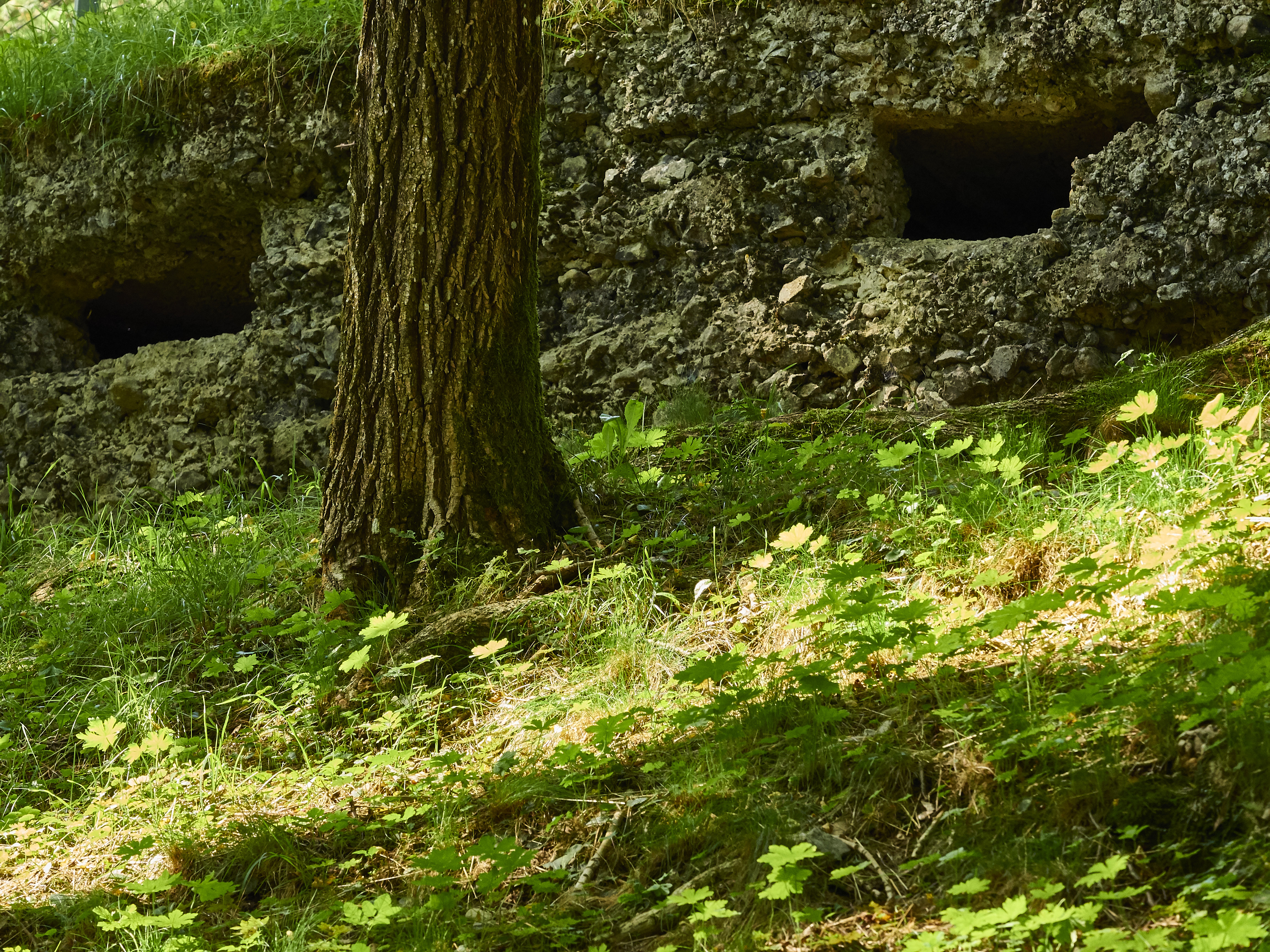 Ledrosee 16 09 19 14