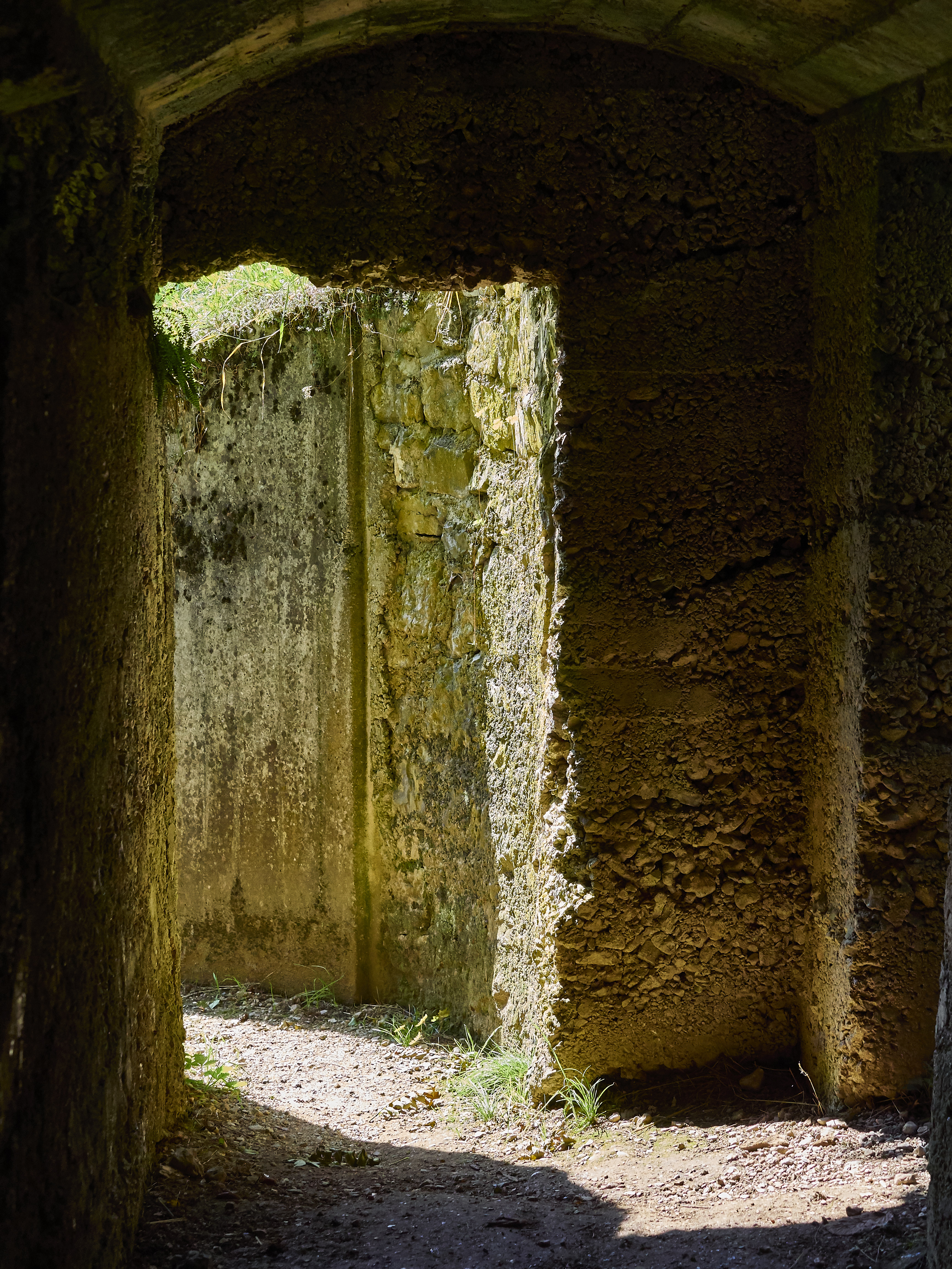 Ledrosee 16 09 19 21