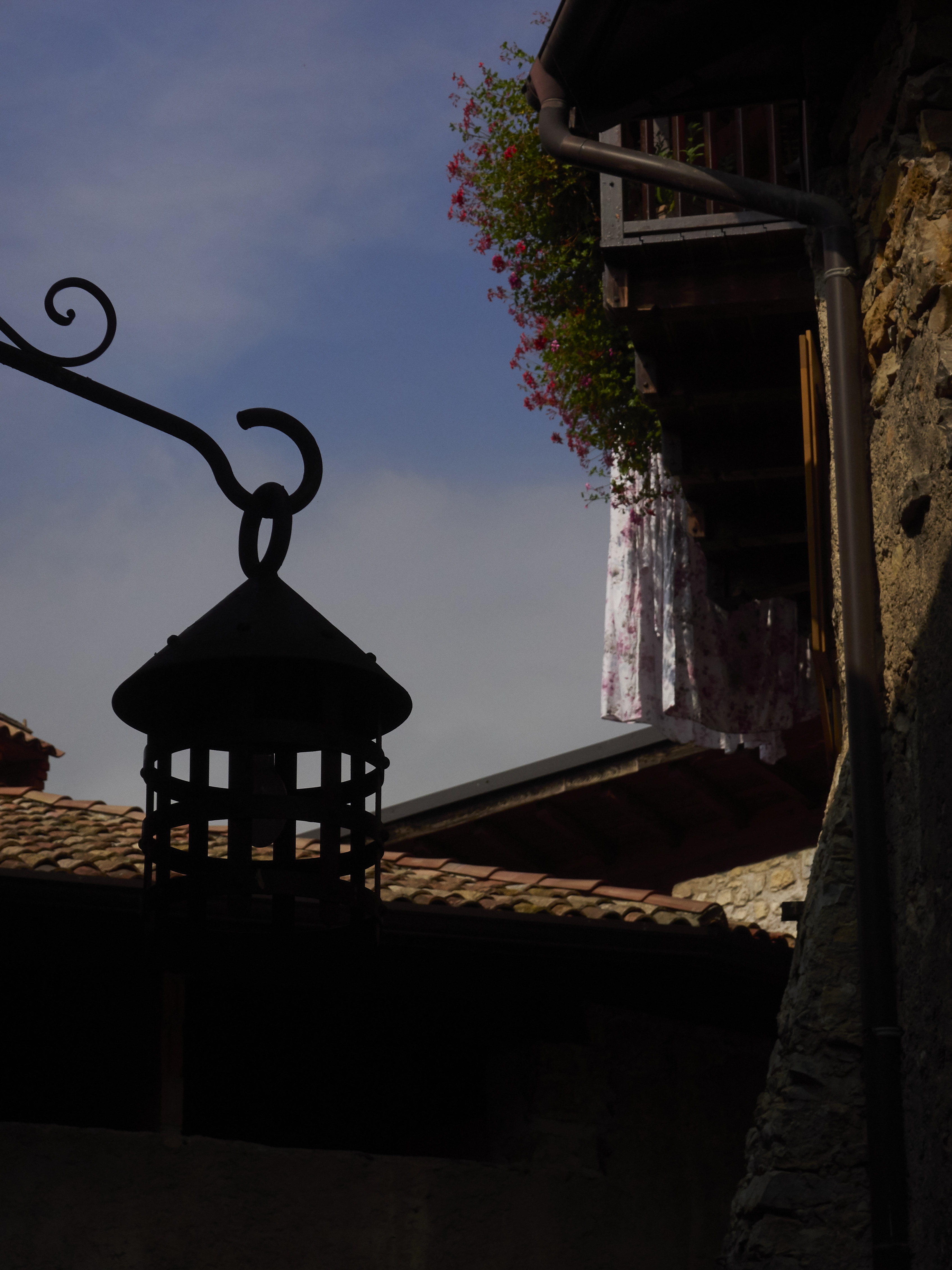 Ledrosee 17 09 19 19