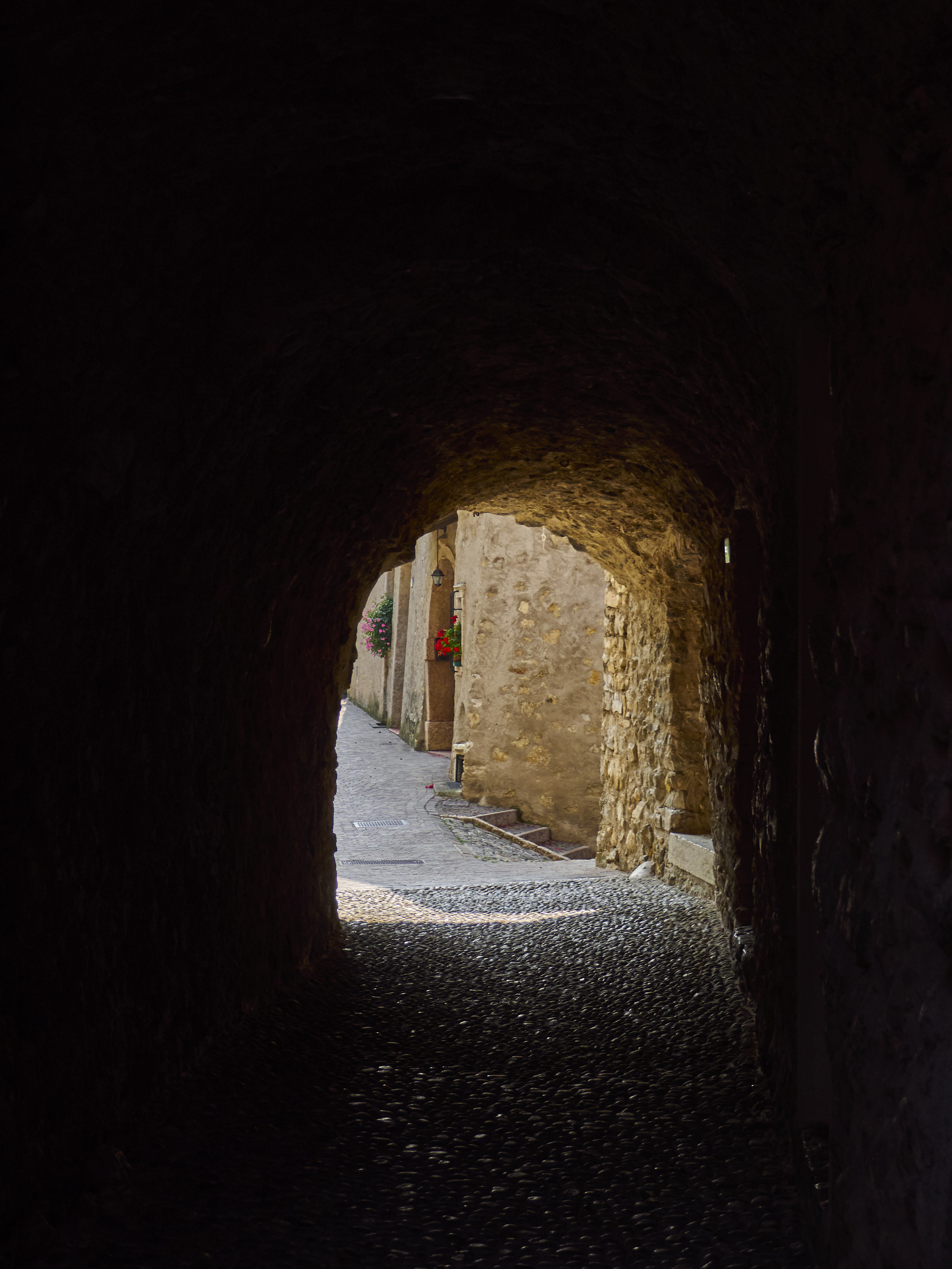 Ledrosee 17 09 19 25