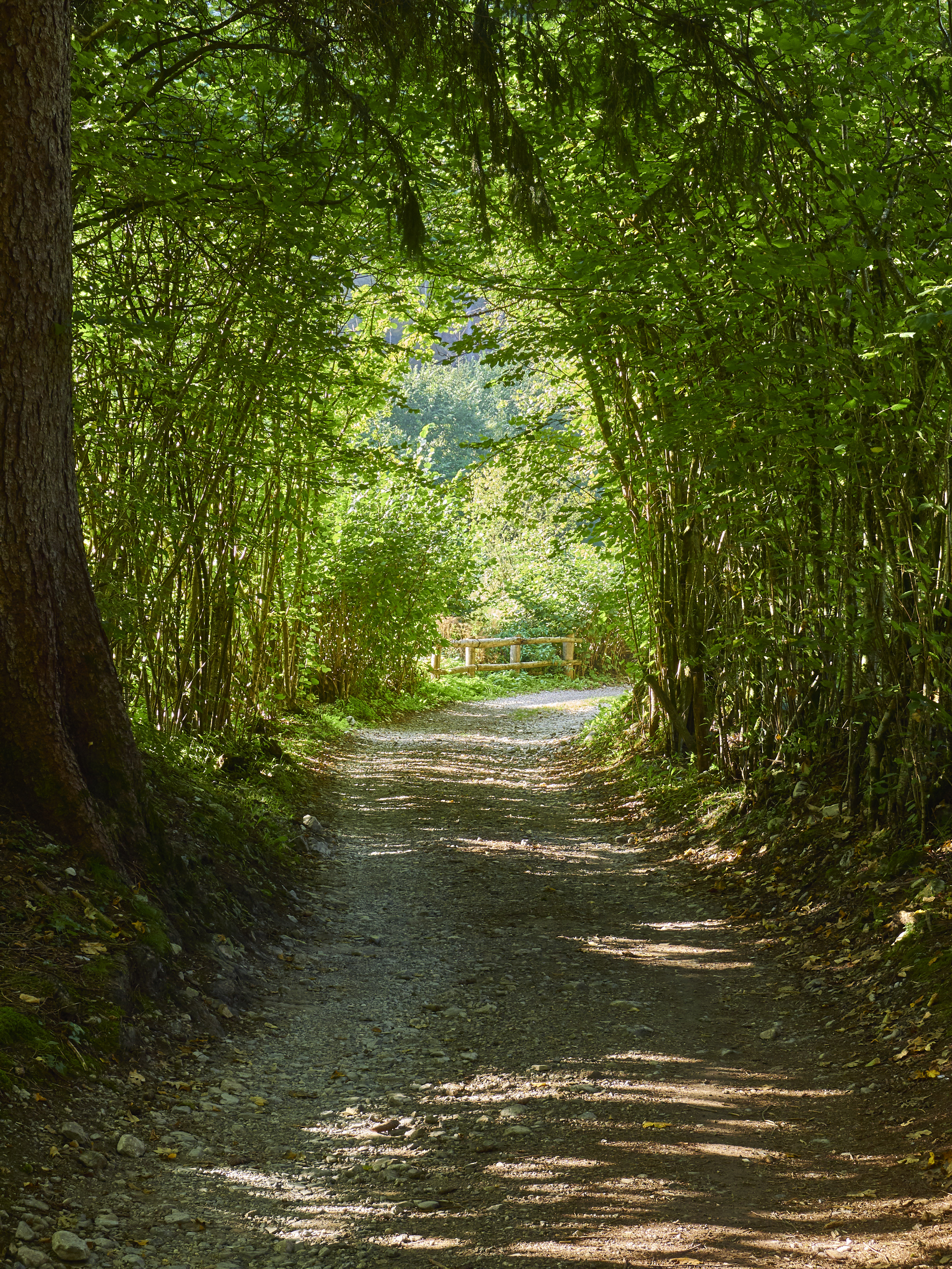 Ledrosee 17 09 19 38